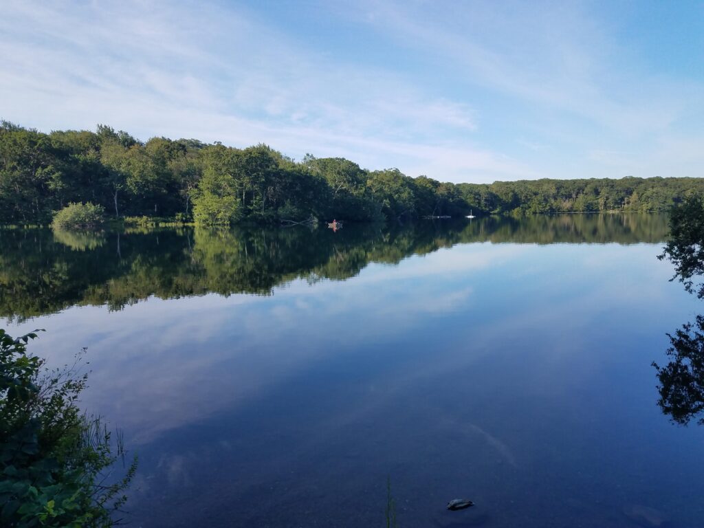 picture of a small lake and summer hardwood treeline