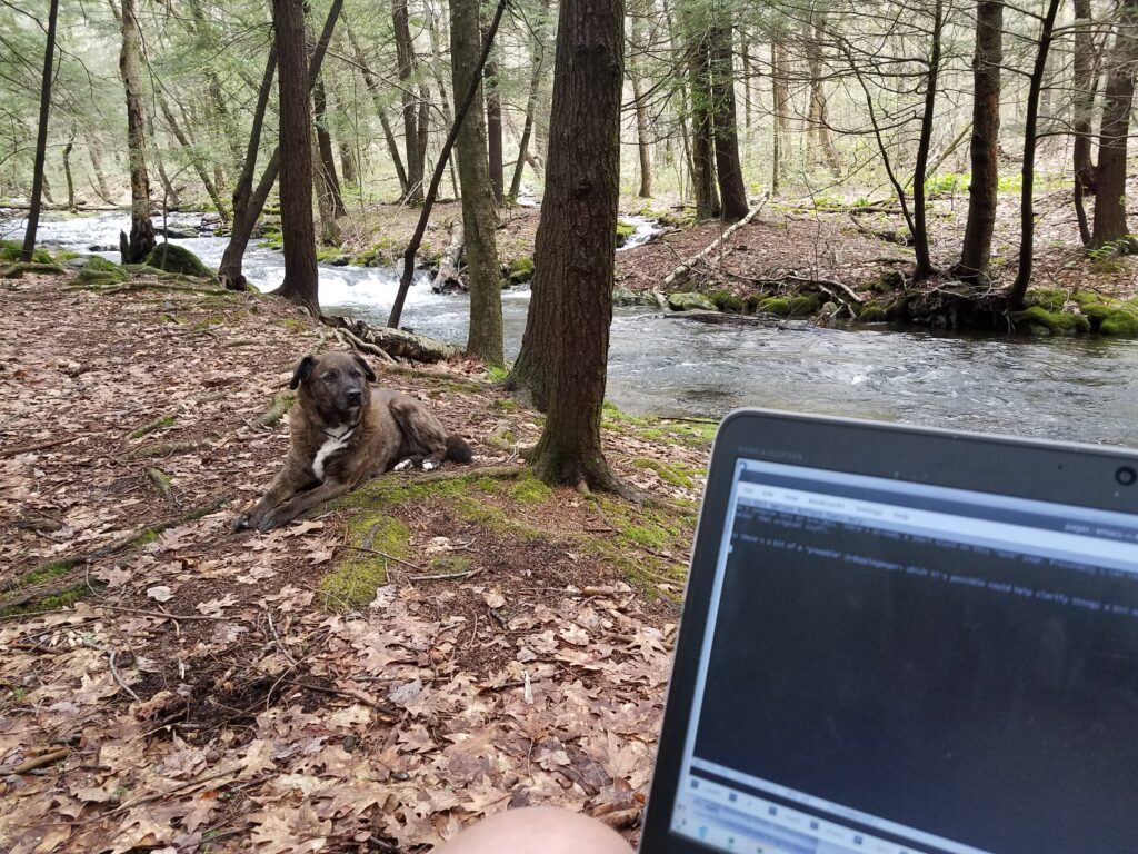 view of my dog Teyla sitting near a stream along with part of my laptop computer screen  where i began composing the content here on this page